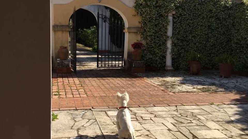 Cortile di una casa con pavimentazione in pietra e mattoni, che conduce a un cancello in ferro sotto un arco intonacato con tetto in coppi. Sullo sfondo si vedono siepi rampicanti, vasi in terracotta, cipressi e una palma sotto cielo sereno.