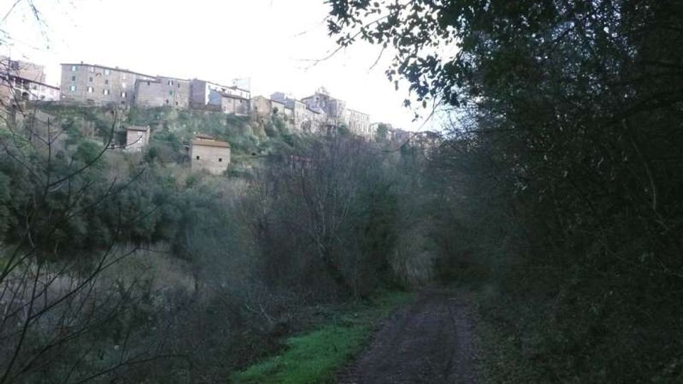 Sentiero sterrato che attraversa un’area boschiva con vegetazione fitta ai lati. In alto, su un crinale, si vede un borgo di case in pietra e murature affacciate sulla valle.