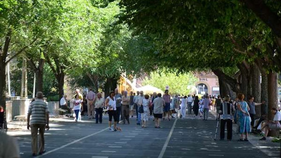 Viale pedonale alberato con ampie chiome che ombreggiano una pavimentazione asfaltata segnata da linee bianche. Sullo sfondo si vede un edificio con arco d’ingresso e una zona illuminata dalla luce del sole.