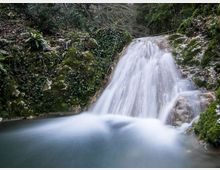 Piccola cascata in un bosco, con acqua che scende su rocce ricoperte di muschio e vegetazione fino a una pozza calma. Intorno si vedono sponde rocciose ombreggiate, felci e arbusti.