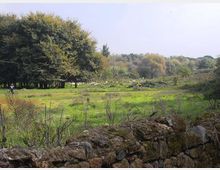 560-d864224a1b5e115f663e0ecad6d4e94cjpg