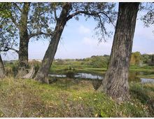 561-f68312086643deaec8e2cc74a4779287jpg