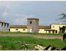 585-933e7416cab7283b33afb112cd5ddbf9jpg