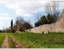 987-b4810370ef76352b9fc358d2649964c1jpg