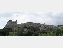 Panorama di un borgo in pietra arroccato su una collina, con un grande castello o complesso fortificato in sommità e case addossate lungo il pendio. In primo piano si vedono alberi e vegetazione, sullo sfondo cielo parzialmente nuvoloso.