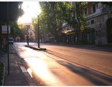Ampio viale urbano con carreggiata asfaltata quasi vuota, fiancheggiato da grandi alberi e lampioni. Ai lati si vedono marciapiedi e facciate di edifici, con luce del sole bassa che illumina la strada in lontananza.