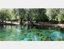 58304-photo-monumento-naturale-laghetto-parco-mulini-jpgjpg