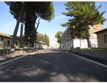 Strada asfaltata rettilinea all’interno di un complesso, fiancheggiata da alti pini e lampioni, con piccoli edifici bassi a sinistra e un edificio in mattoni a più piani sulla destra. Sullo sfondo si vede un grande edificio chiaro in fondo al viale sotto un cielo sereno.