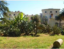 Giardino urbano con prato e aiuole di piante tropicali e succulente, tra cui palme e cactus. Sullo sfondo si vedono edifici chiari in stile classico con finestre e archi, oltre a una recinzione metallica.