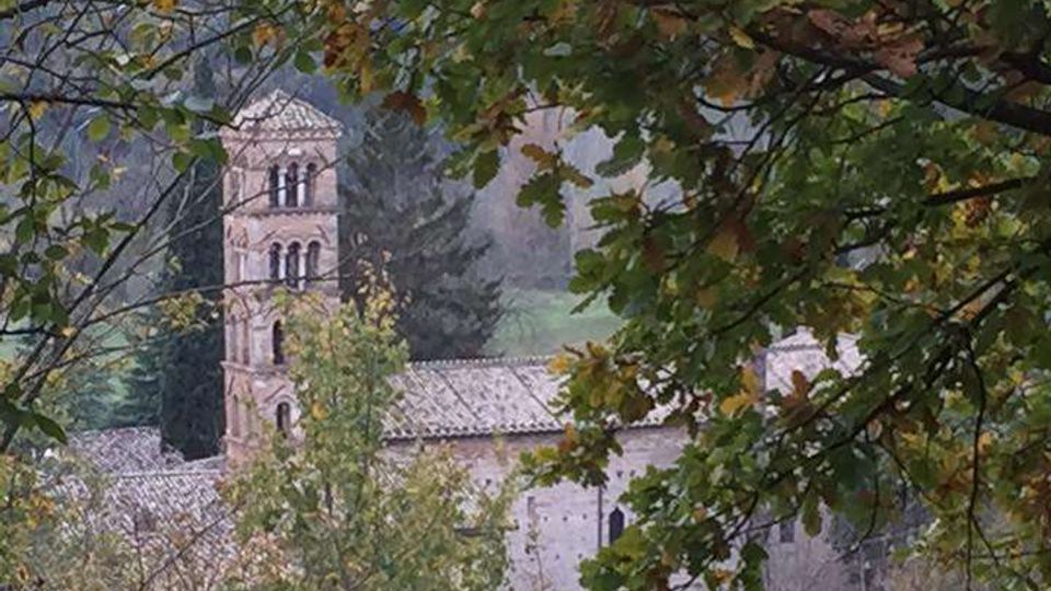 Vista di una chiesa in pietra con campanile a bifore, parzialmente nascosta da rami e foglie di alberi in primo piano. L’edificio sorge in una zona collinare e boscosa con vegetazione fitta attorno.