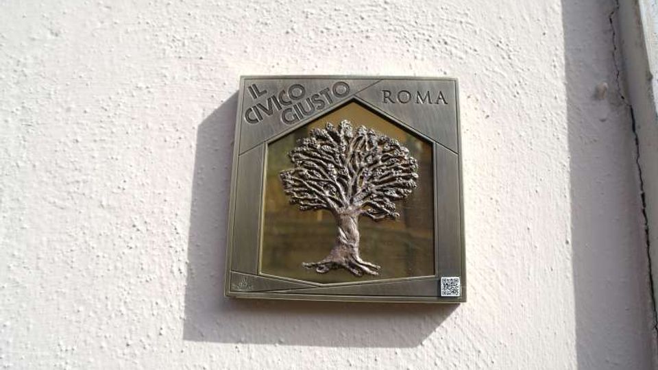 58270-photo-sam3557-jpgjpg