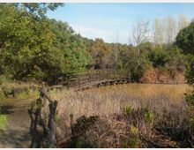 52142-photo-dscn93972-jpgjpg