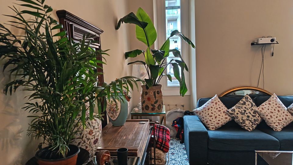 Soggiorno arredato con divano blu e cuscini decorati, tavolino in vetro e pavimento con piastrelle a motivi geometrici. Grandi piante in vaso e una finestra alta e stretta illuminano l’ambiente, con mobile in legno e un piccolo proiettore fissato a parete.