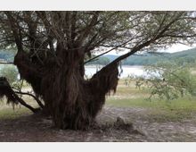 49510-photo-11-jpgjpg