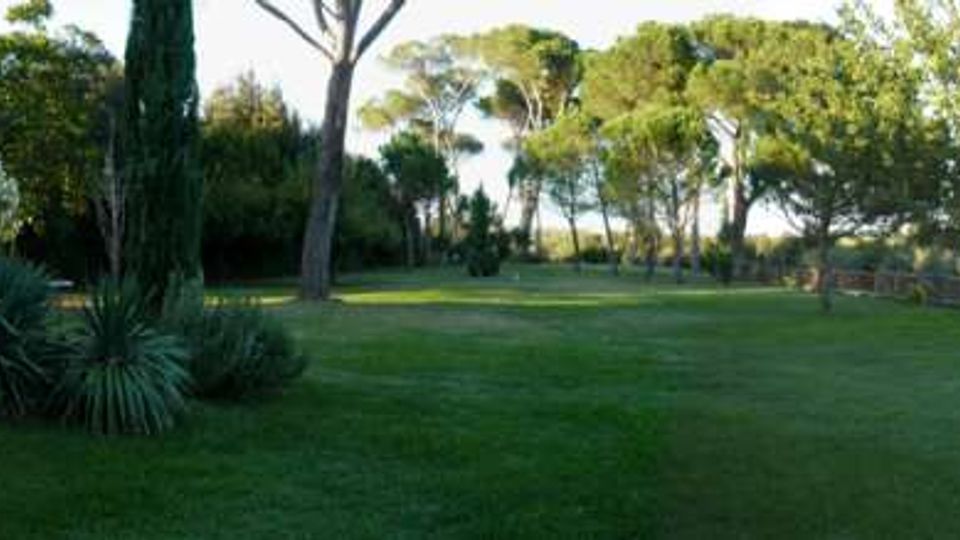 219-e303ffee4eef9a13b2857c3a90ed07bbjpg