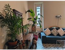 Soggiorno arredato con divano blu e cuscini decorati, tavolino in vetro e pavimento con piastrelle a motivi geometrici. Grandi piante in vaso e una finestra alta e stretta illuminano l’ambiente, con mobile in legno e un piccolo proiettore fissato a parete.