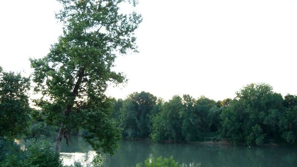 1102-aed9a9514f569931e2d0dace61642276jpg