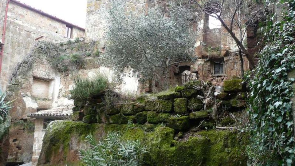 Rovine di edifici in pietra con finestre e archi parzialmente crollati, affacciate su una terrazza sostenuta da un muro a secco coperto di muschio. Vegetazione fitta con edera, arbusti e un ulivo cresce tra le murature in un piccolo cortile acciottolato.