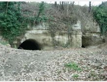 Ingresso di una grotta o tunnel scavato in una parete rocciosa, in un’area boschiva con edera e arbusti sul pendio. In primo piano c’è un sentiero sterrato coperto di foglie secche, con una seconda apertura più piccola sulla destra.