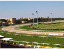 Ippodromo all’aperto con pista ovale in sabbia e prato, delimitata da ringhiere bianche e illuminata da alti fari. Sullo sfondo si vedono edifici bassi e alberi sotto un cielo sereno.