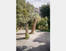 Giardino alberato con vialetto pavimentato in pietra, palme e aiuole con numerosi vasi; al centro si vede una piccola fontana rotonda. Sullo sfondo compaiono edifici residenziali parzialmente nascosti dalla vegetazione.