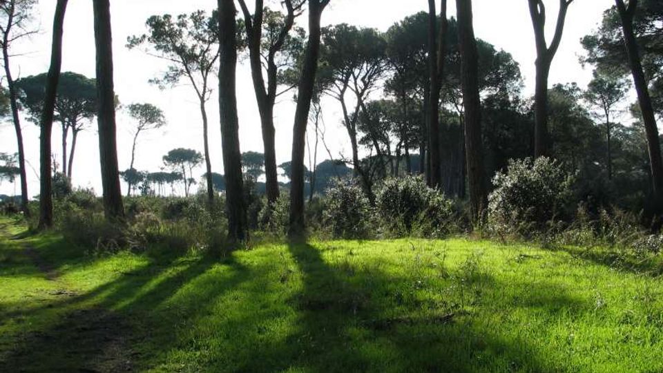 51934-photo-17949874-jpgjpg