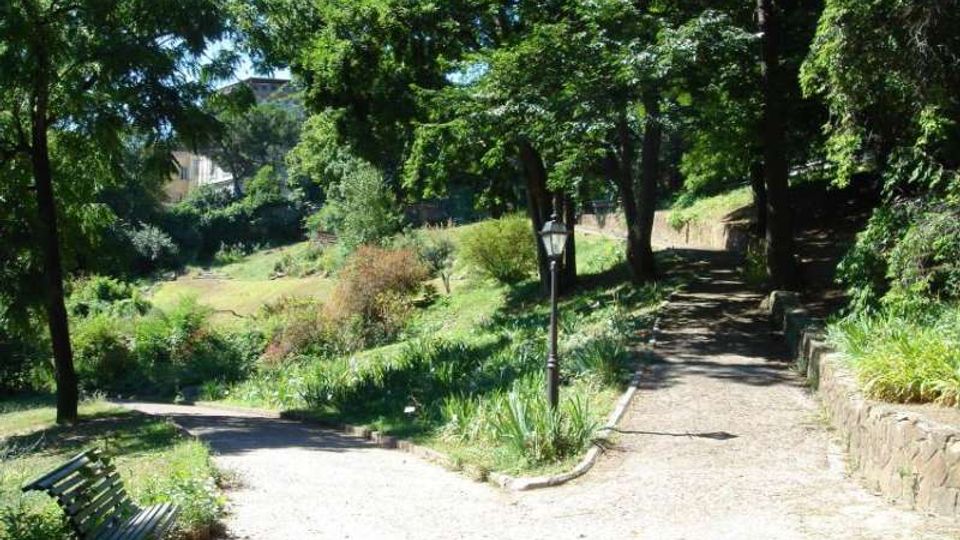 Sentiero in ghiaia in un parco alberato, con panchina e lampione lungo il percorso e vegetazione fitta su prati e aiuole. Il cammino si biforca e costeggia un basso muretto in pietra, con alberi alti che creano zone d’ombra.
