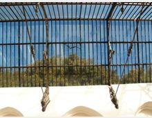 Tettoia in vetro e metallo con fitte barre verticali e tiranti decorativi, vista dal basso. Attraverso i pannelli trasparenti si intravedono il cielo blu e le cime degli alberi, sopra un muro ad arco chiaro.