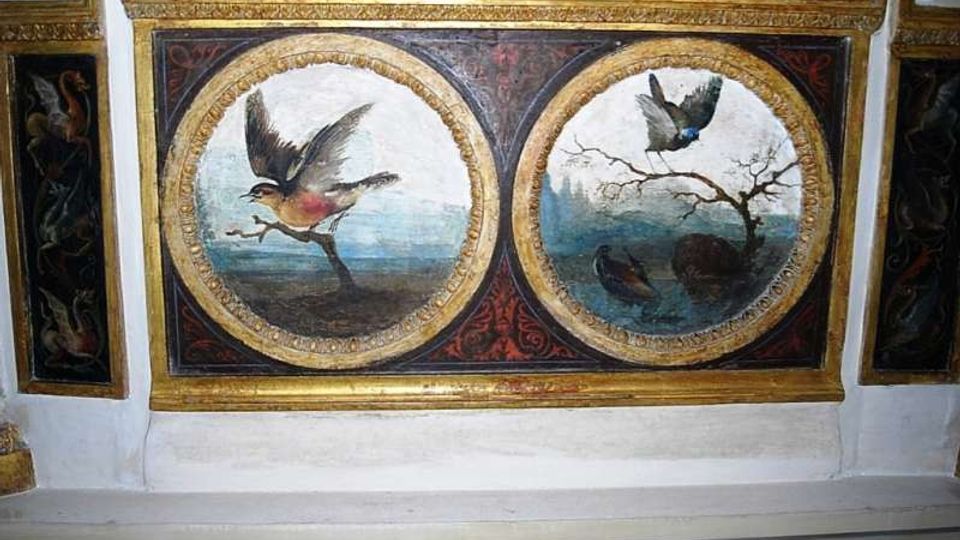 Dettaglio di una decorazione pittorica su soffitto con cornici dorate, composta da due medaglioni circolari affrescati che raffigurano uccelli in un paesaggio. Intorno sono presenti fasce ornamentali con motivi floreali e pannelli laterali scuri decorati.