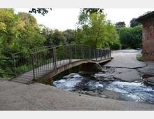 51879-photo-130692785-jpgjpg