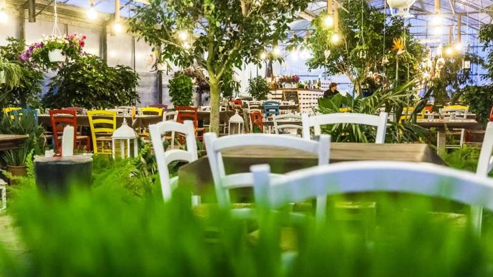 Interno di una serra adibita a ristorante, con tavoli e sedie colorate tra piante e piccoli alberi sotto un tetto in vetro e struttura metallica. Luci sospese e lanterne decorative illuminano l’ambiente verde.