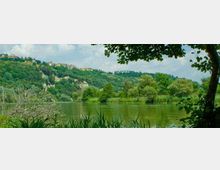 52122-photo-71-natura-jpgjpg