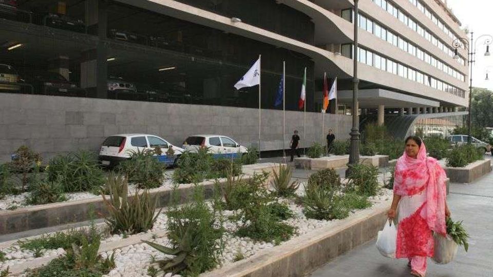 1156-d89f93b433e83d1017dfccdbb1f339cbjpg