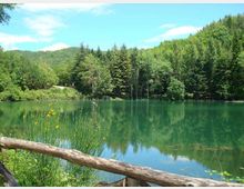 51900-photo-dsc06014-800x600-jpgjpg