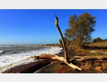 52090-photo-spiaggia-jpgjpg