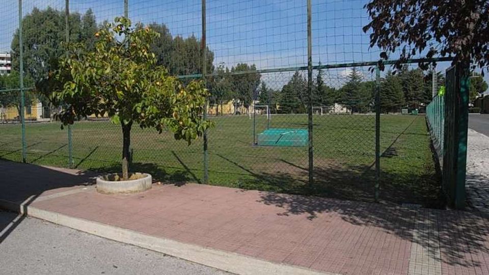Campo sportivo all’aperto recintato con rete metallica alta, con prato e una piccola pedana verde all’interno. In primo piano c’è un marciapiede pavimentato con un albero in una fioriera circolare, e sullo sfondo si vedono alberi e strutture sportive.