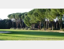 Campo da golf con ampio green e bunker di sabbia a sinistra, circondato da una pineta di alti pini marittimi. Una bandierina rossa indica la buca sul prato, con alberi e vegetazione sullo sfondo.