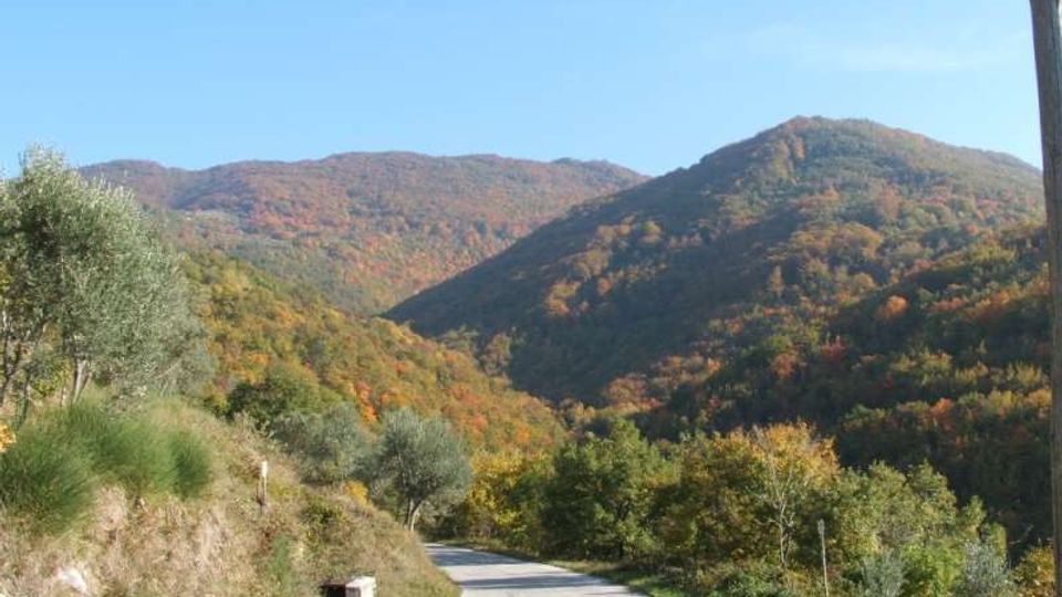 Strada di campagna asfaltata e tortuosa che attraversa una valle, con vegetazione ai lati e colline boscose sullo sfondo. Le pendici montane mostrano colori autunnali sotto un cielo sereno.