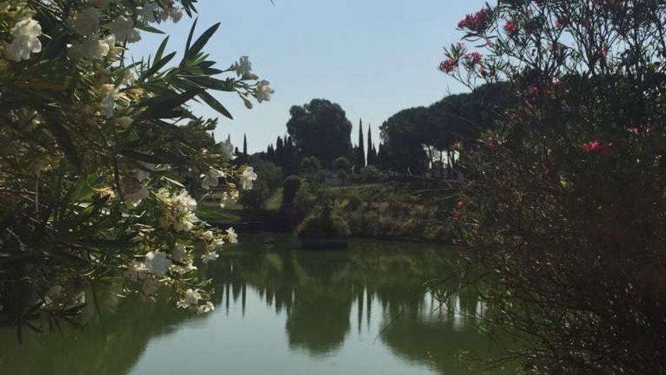 Lago tranquillo in un parco, con acqua verde che riflette alberi e cipressi sulla riva opposta. In primo piano cespugli fioriti bianchi e rossi incorniciano la vista, con vegetazione bassa e un piccolo paletto lungo il bordo del sentiero.