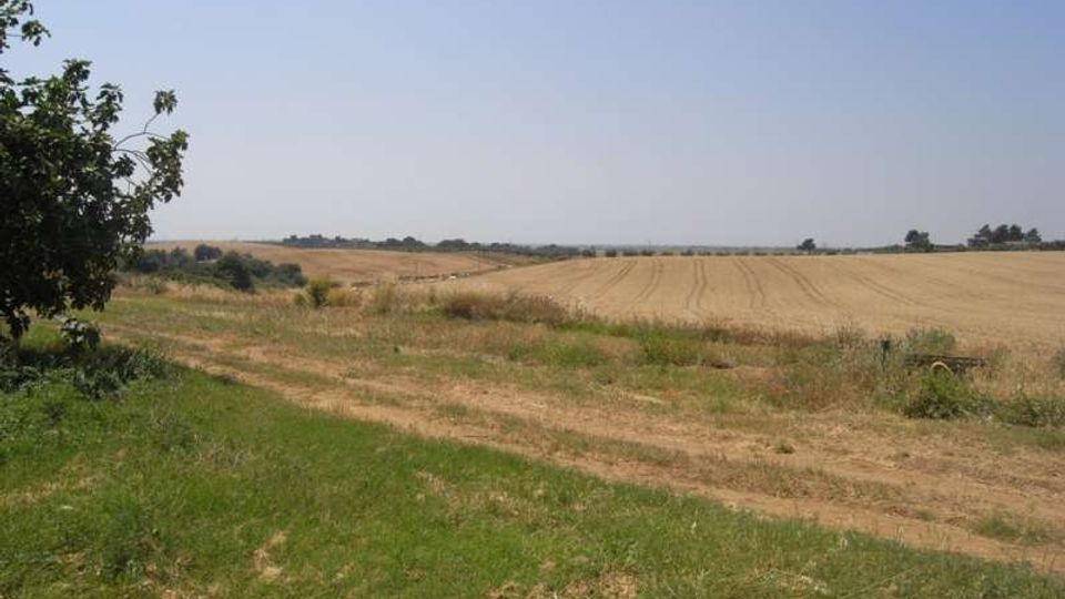 Ampio paesaggio rurale con campi coltivati e terreno secco, attraversato da un sentiero sterrato in primo piano. A sinistra si vede un albero e sullo sfondo l’orizzonte pianeggiante sotto un cielo limpido.