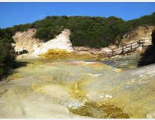 52150-photo-riserva-naturale-di-tor-jpgjpg