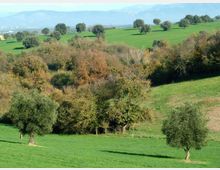 52009-photo-rn-macchiagattaceca-800-jpgjpg