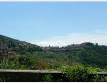 Panorama di un borgo collinare con edifici e torri disposti lungo la cresta, circondato da una valle verde e boscosa. In primo piano si vede un muretto in pietra con vegetazione e fiori rosa, sotto un cielo azzurro limpido.