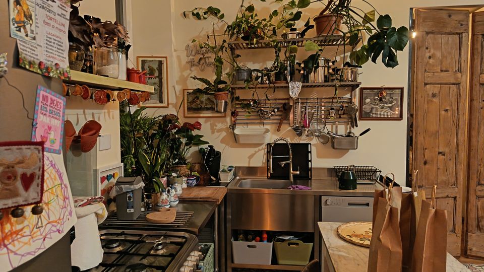 Cucina domestica con piano cottura a gas e grande lavello in acciaio, mensole a parete con utensili appesi e numerose piante verdi. Pavimento con piastrelle decorative, ripiani e mobili in legno, e una porta in legno sul lato destro.