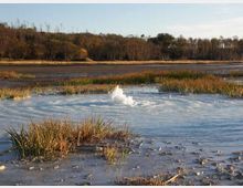 52146-photo-manziana-la-caldara-jpgjpg