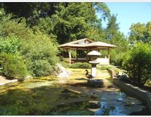 Padiglione in legno in stile giapponese in un giardino con vegetazione fitta, affacciato su uno stagno poco profondo con rocce e riflessi. In primo piano si vede una lanterna di pietra vicino all’acqua e un muretto basso che delimita il bordo dello stagno.