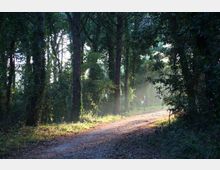 51862-photo-sentiero-del-parco-del-circeo-jpgjpg