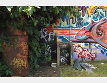 Muro esterno ricoperto da graffiti e murales colorati, con vegetazione fitta che invade il lato sinistro e parzialmente copre la superficie. Alla base si vedono una piccola porta o pannello metallico e detriti sul terreno in un’area pavimentata.