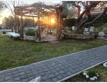 Giardino con pergolato in legno su pavimentazione in pietra, con aiuole e un grande albero circondato da un muretto circolare in mattoni. In primo piano c’è un vialetto lastricato e sullo sfondo siepi e arredi da esterno illuminati dal sole basso.