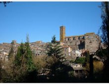 Veduta panoramica di un borgo collinare con case in pietra addossate tra loro e una grande chiesa con alto campanile quadrato. In primo piano si notano alberi e vegetazione, con cielo sereno sullo sfondo.
